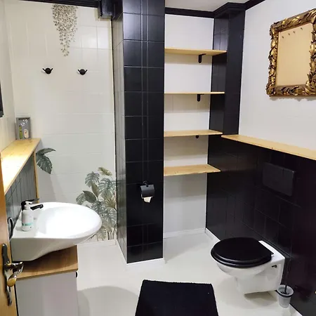Apartment Grosse Klecks Mit Sauna *