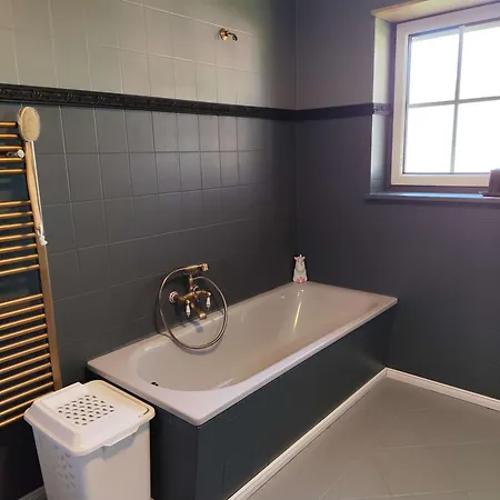 Apartmán Grosse Klecks Mit Sauna *